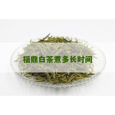 福鼎白茶煮多长时间