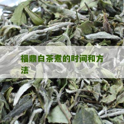 福鼎白茶煮的时间和方法