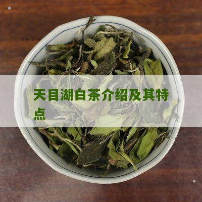 天目湖白茶介绍及其特点