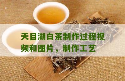 天目湖白茶制作过程视频和图片，制作工艺