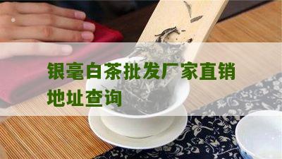 银毫白茶批发厂家直销地址查询