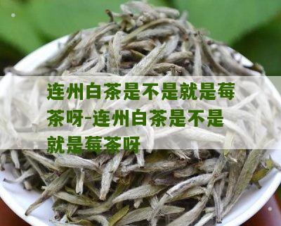 连州白茶是不是就是莓茶呀-连州白茶是不是就是莓茶呀