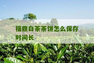 福鼎白茶茶饼怎么保存时间长