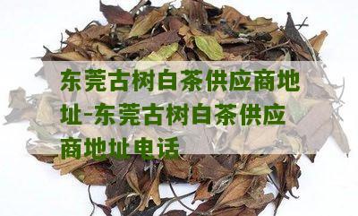 东莞古树白茶供应商地址-东莞古树白茶供应商地址电话