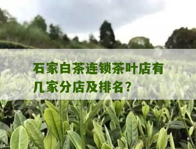 石家白茶连锁茶叶店有几家分店及排名？