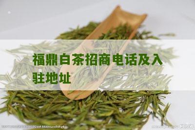 福鼎白茶招商电话及入驻地址