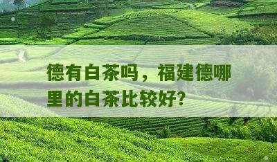 德有白茶吗，福建德哪里的白茶比较好？