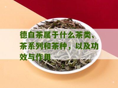 德白茶属于什么茶类、茶系列和茶种，以及功效与作用