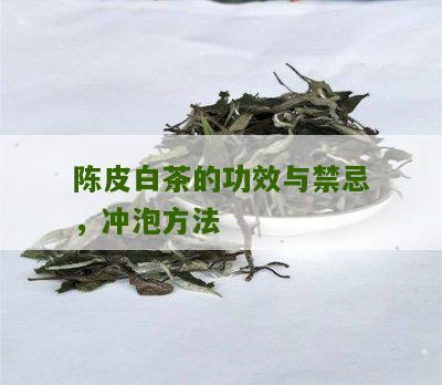 陈皮白茶的功效与禁忌，冲泡方法