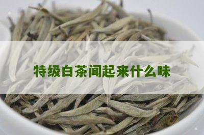 特级白茶闻起来什么味