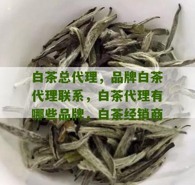 白茶总代理，品牌白茶代理联系，白茶代理有哪些品牌，白茶经销商