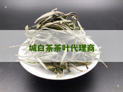 城白茶茶叶代理商