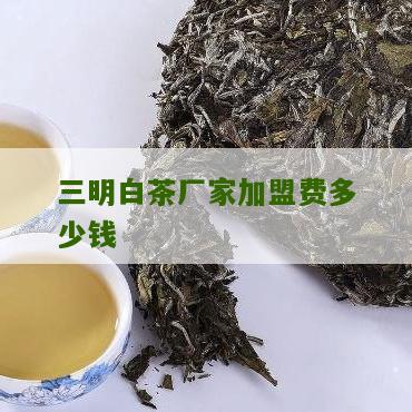 三明白茶厂家加盟费多少钱