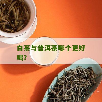 白茶与普洱茶哪个更好喝？