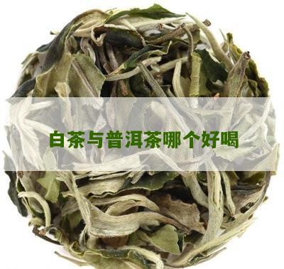 白茶与普洱茶哪个好喝