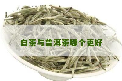 白茶与普洱茶哪个更好