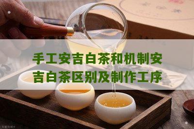 手工安吉白茶和机制安吉白茶区别及制作工序