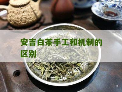 安吉白茶手工和机制的区别