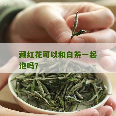 藏红花可以和白茶一起泡吗？