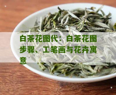 白茶花图代：白茶花图步骤、工笔画与花卉寓意