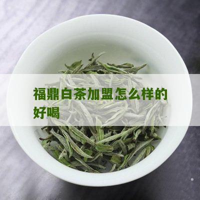 福鼎白茶加盟怎么样的好喝