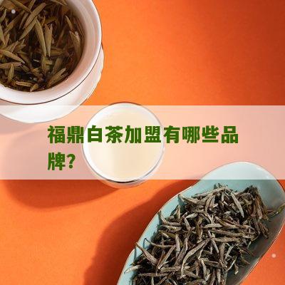 福鼎白茶加盟有哪些品牌？