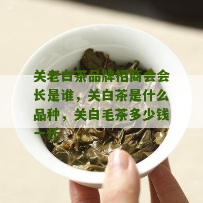 关老白茶品牌招商会会长是谁，关白茶是什么品种，关白毛茶多少钱一斤