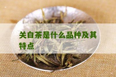 关白茶是什么品种及其特点