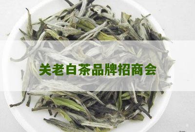 关老白茶品牌招商会