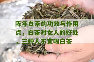 陈年白茶的功效与作用点，白茶对女人的好处，三种人不宜喝白茶