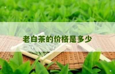 老白茶的价格是多少