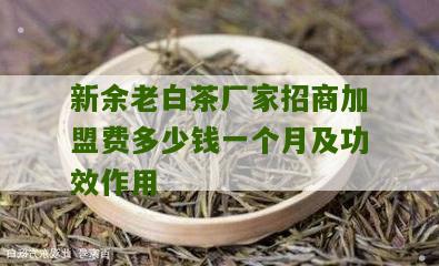 新余老白茶厂家招商加盟费多少钱一个月及功效作用