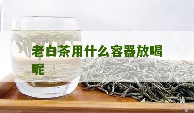 老白茶用什么容器放喝呢