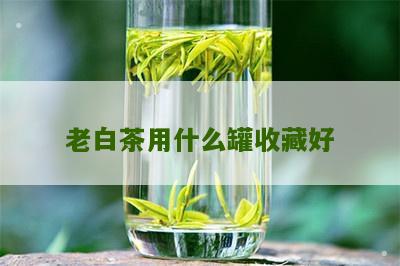 老白茶用什么罐收藏好