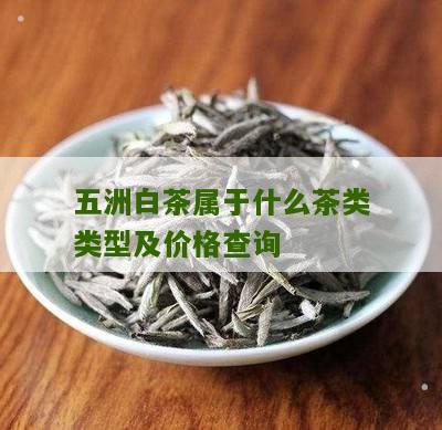 五洲白茶属于什么茶类类型及价格查询