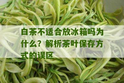 白茶不适合放冰箱吗为什么？解析茶叶保存方式的误区