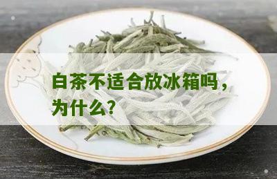 白茶不适合放冰箱吗，为什么？