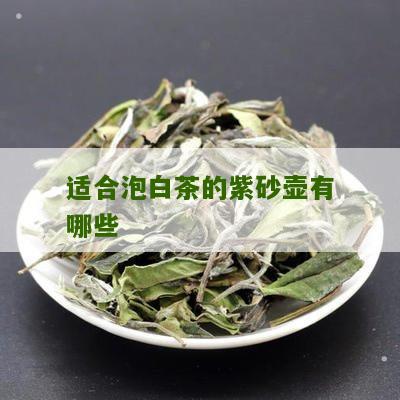 适合泡白茶的紫砂壶有哪些