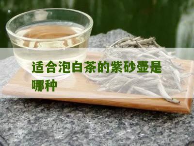 适合泡白茶的紫砂壶是哪种