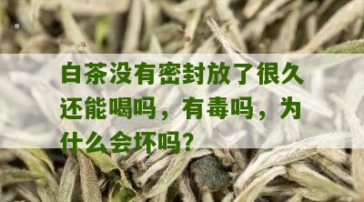 白茶没有密封放了很久还能喝吗，有毒吗，为什么会坏吗？