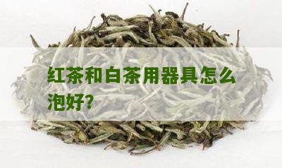 红茶和白茶用器具怎么泡好？