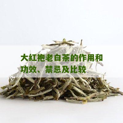 大红袍老白茶的作用和功效、禁忌及比较