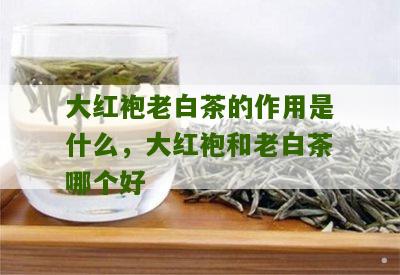 大红袍老白茶的作用是什么，大红袍和老白茶哪个好