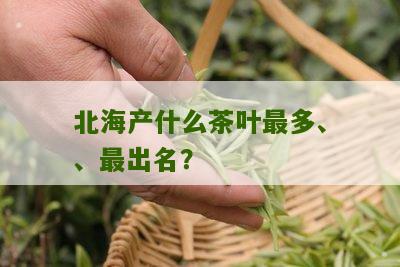 北海产什么茶叶最多、、最出名？