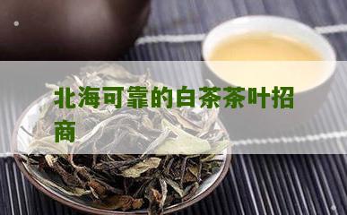 北海可靠的白茶茶叶招商