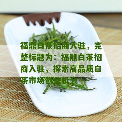 福鼎白茶招商入驻，完整标题为：福鼎白茶招商入驻，探索高品质白茶市场创业机会