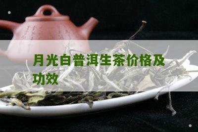 月光白普洱生茶价格及功效