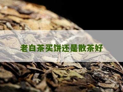 老白茶买饼还是散茶好