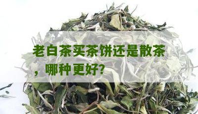 老白茶买茶饼还是散茶，哪种更好？