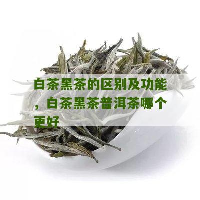 白茶黑茶的区别及功能，白茶黑茶普洱茶哪个更好